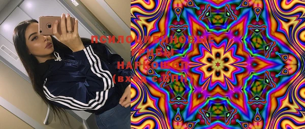индика Алексин