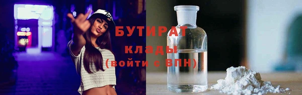 индика Алексин