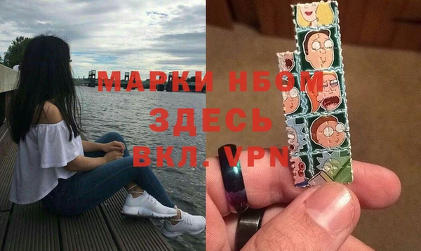 прущие грибы Покров