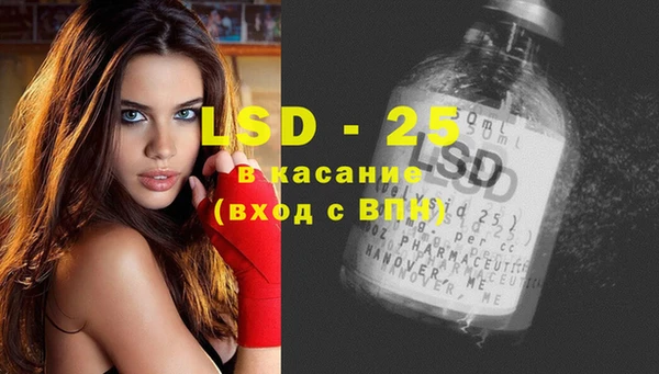 индика Алексин