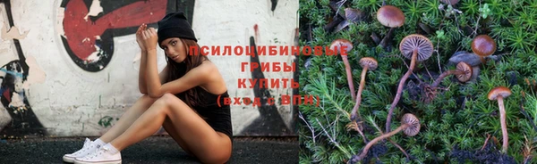 амф Абинск