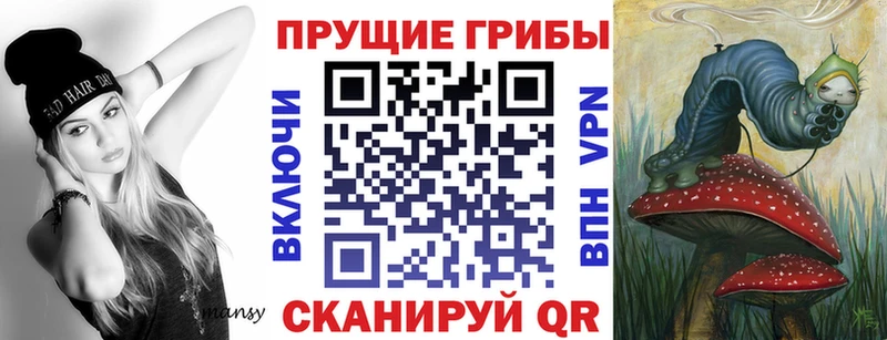 Псилоцибиновые грибы Psilocybine cubensis Звенигород