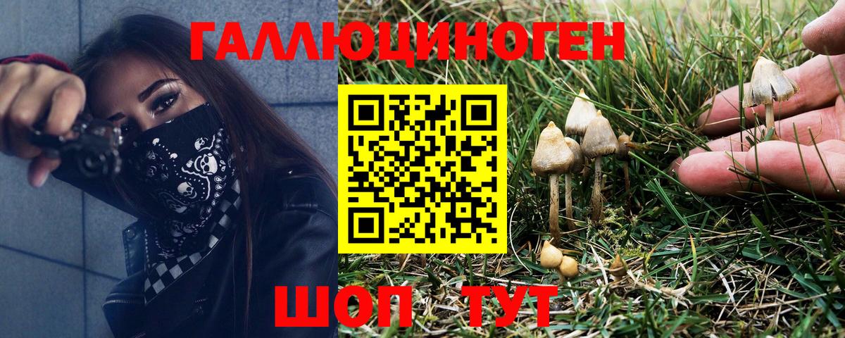 Галлюциногенные грибы Psilocybe  Вход с VPN  Звенигород  Галлюциногенные грибы GOLDEN TEACHER 