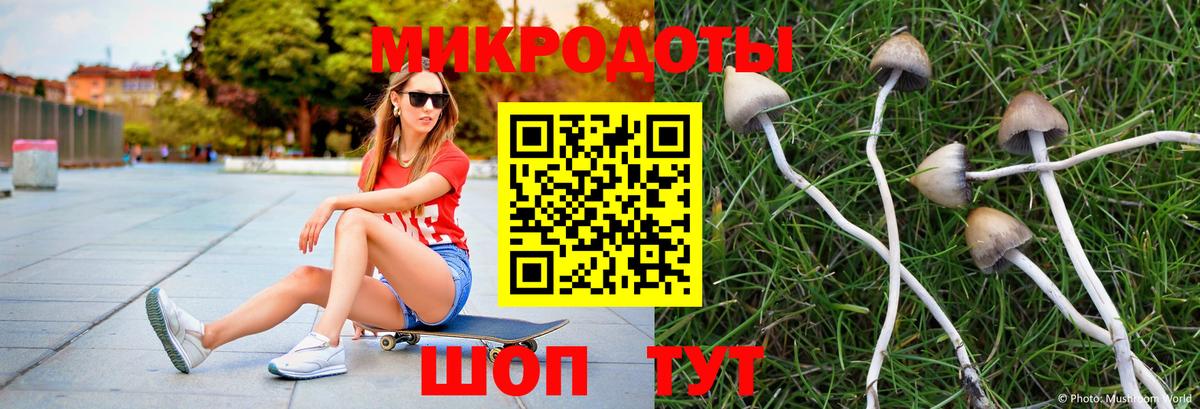 Псилоцибиновые грибы Magic Shrooms Звенигород