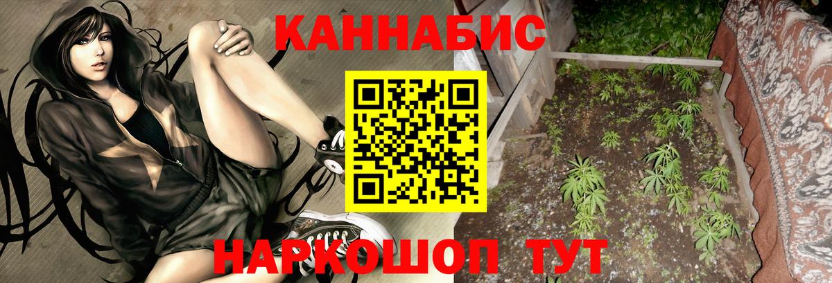 Марихуана сатива  Шишки марихуана гибрид  Вход с VPN  Конопля тримм  Звенигород 